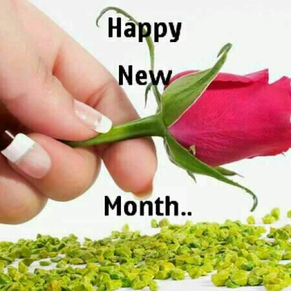 Meet your Posher, Yazmin - Picture 1 of 1